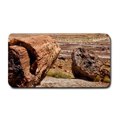 Petrified Desert Medium Bar Mats