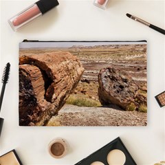 Petrified Desert Cosmetic Bag (large)  by trendistuff