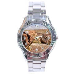 Petrified Desert Stainless Steel Men s Watch by trendistuff