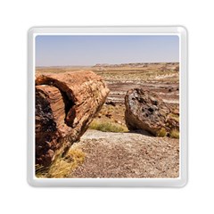 Petrified Desert Memory Card Reader (square) 