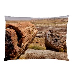 Petrified Desert Pillow Cases (two Sides)