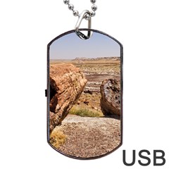 Petrified Desert Dog Tag Usb Flash (one Side)