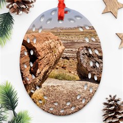 Petrified Desert Oval Filigree Ornament (2-side) 