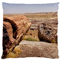 Petrified Desert Large Cushion Cases (one Side) 