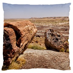 Petrified Desert Large Flano Cushion Cases (two Sides) 