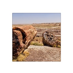 Petrified Desert Satin Bandana Scarf