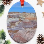 PAINTED DESERT Ornament (Oval) 