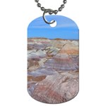 PAINTED DESERT Dog Tag (One Side)