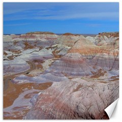 Painted Desert Canvas 12  X 12   by trendistuff