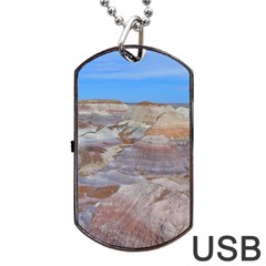 Painted Desert Dog Tag Usb Flash (one Side) by trendistuff