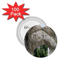 Limestone Formations 1 75  Buttons (100 Pack) 