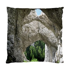 Limestone Formations Standard Cushion Case (one Side)  by trendistuff