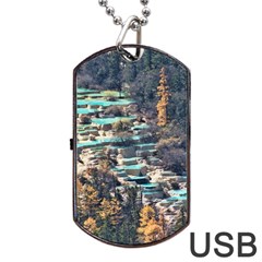 Huanglong Pools Dog Tag Usb Flash (one Side)