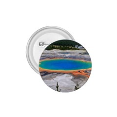 Grand Prismatic 1 75  Buttons by trendistuff