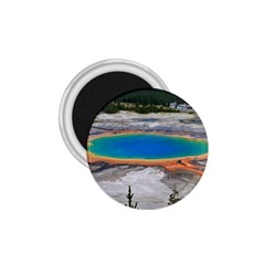 Grand Prismatic 1 75  Magnets by trendistuff