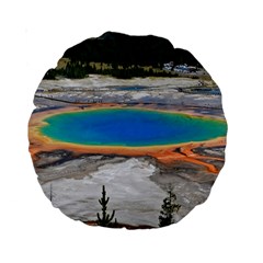 Grand Prismatic Standard 15  Premium Round Cushions