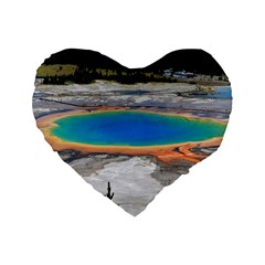 Grand Prismatic Standard 16  Premium Heart Shape Cushions by trendistuff