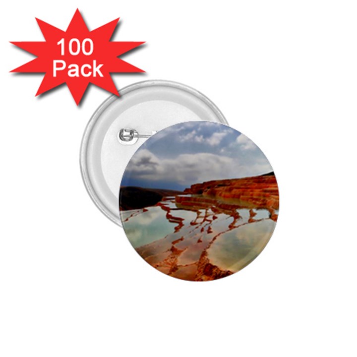 BADAB-E SURT 1.75  Buttons (100 pack) 