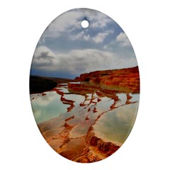 Badab-e Surt Oval Ornament (two Sides) by trendistuff