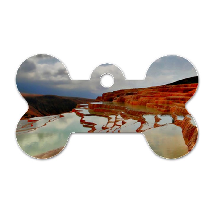 BADAB-E SURT Dog Tag Bone (Two Sides)