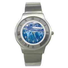 Upsala Glacier Stainless Steel Watches by trendistuff