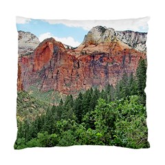 Upper Emerald Trail Standard Cushion Case (one Side)  by trendistuff