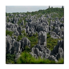 Stone Forest 1 Tile Coasters by trendistuff