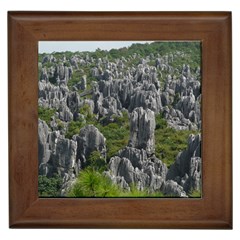 Stone Forest 1 Framed Tiles by trendistuff