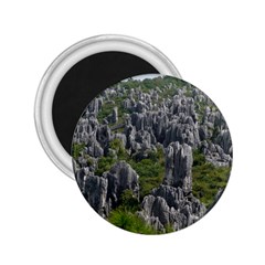 Stone Forest 1 2 25  Magnets by trendistuff