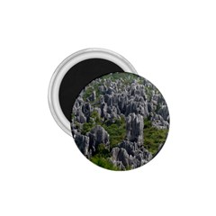 Stone Forest 1 1 75  Magnets by trendistuff