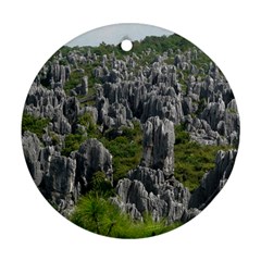 Stone Forest 1 Ornament (round)  by trendistuff