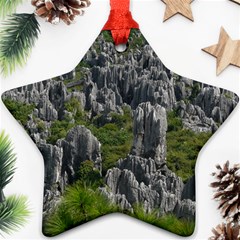 Stone Forest 1 Ornament (star)  by trendistuff