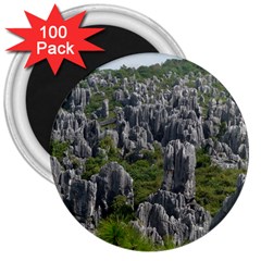 Stone Forest 1 3  Magnets (100 Pack) by trendistuff