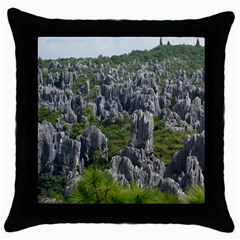 Stone Forest 1 Throw Pillow Cases (black) by trendistuff