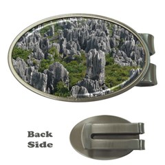 Stone Forest 1 Money Clips (oval)  by trendistuff