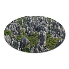 Stone Forest 1 Oval Magnet by trendistuff