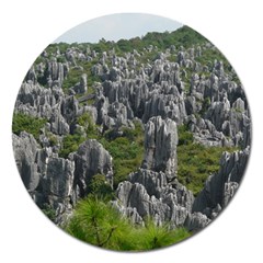 Stone Forest 1 Magnet 5  (round) by trendistuff