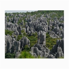 Stone Forest 1 Small Glasses Cloth by trendistuff