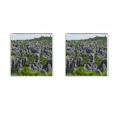 Stone Forest 1 Cufflinks (square) by trendistuff