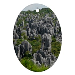 Stone Forest 1 Oval Ornament (two Sides) by trendistuff