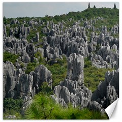 Stone Forest 1 Canvas 16  X 16   by trendistuff