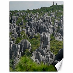 Stone Forest 1 Canvas 18  X 24   by trendistuff