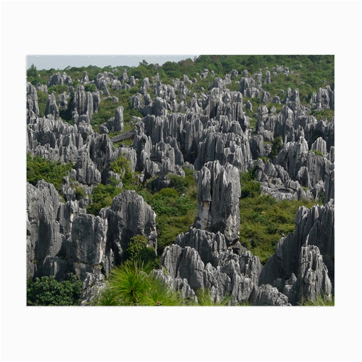 STONE FOREST 1 Small Glasses Cloth (2-Side)