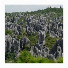 Stone Forest 1 Medium Glasses Cloth (2-side) by trendistuff