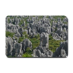 Stone Forest 1 Small Doormat 