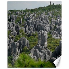 Stone Forest 1 Canvas 11  X 14   by trendistuff