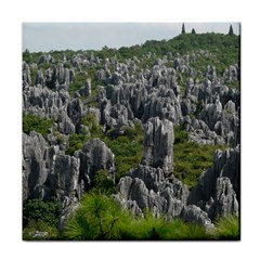 Stone Forest 1 Face Towel by trendistuff