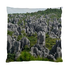 Stone Forest 1 Standard Cushion Case (one Side) 