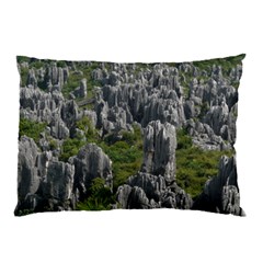 Stone Forest 1 Pillow Cases by trendistuff