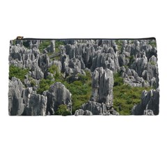 Stone Forest 1 Pencil Cases by trendistuff